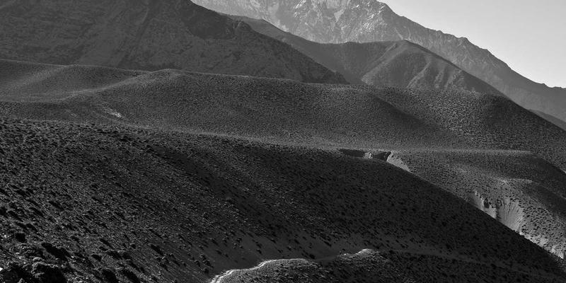 从数据到决策：数据分析驱动的行业解决方案与商务信息整合实战教程