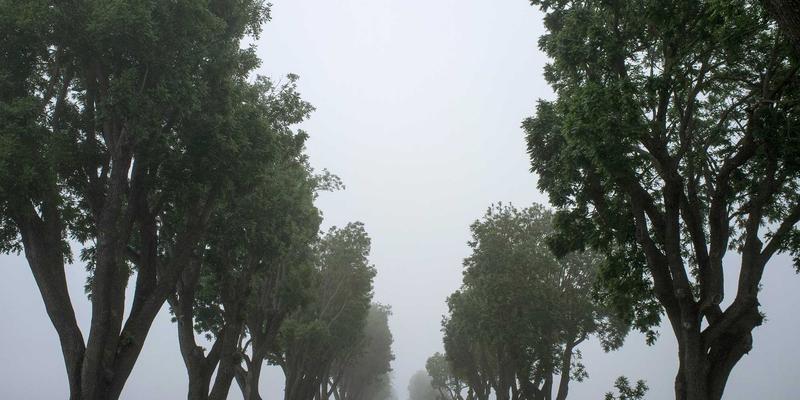 从海量商务信息到精准行业解决方案：消费者综合信息挖掘的营销策略制定