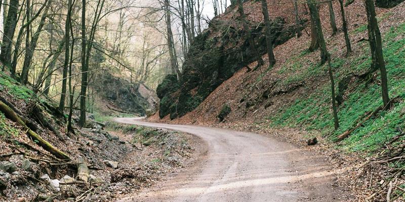 供应链透明度革命：基于区块链与物联网的综合信息追溯服务平台