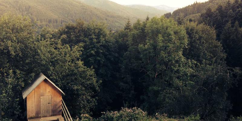 商务信息整合新范式：打造高效综合信息服务平台的最佳实践