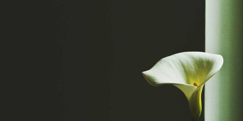 商务信息驱动的流域治理新范式：融合遥感与数据分析的生态补偿绩效评估解决方案