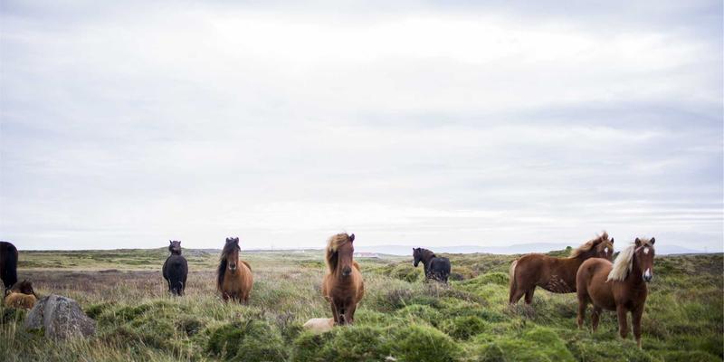 大数据时代下综合信息处理的关键技术与行业解决方案