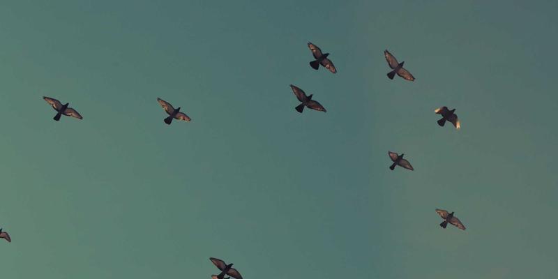 数据分析与商务信息融合：金融投资中如何利用综合信息进行精准风险评估与预测