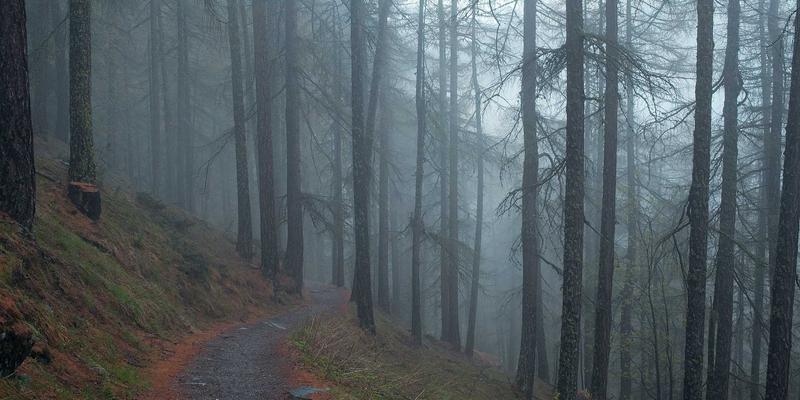智慧医疗诊断辅助系统：构建跨机构数据融合分析的服务平台与商业资讯