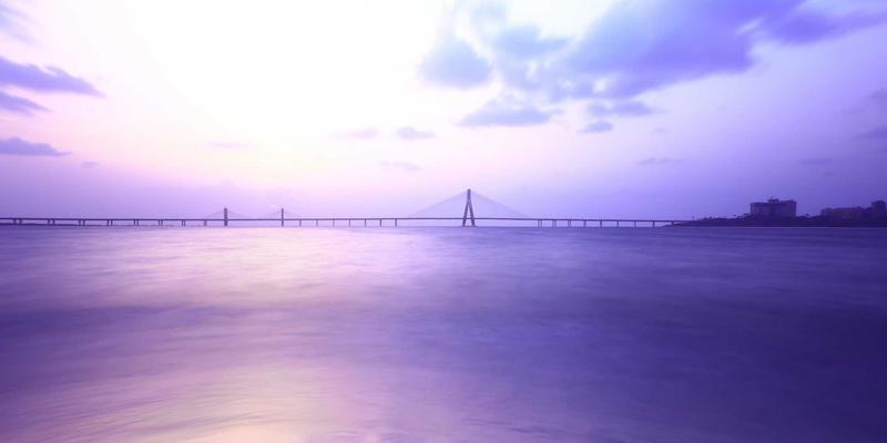 港口物流智能化：综合信息服务平台如何重塑商务信息流与多式联运效率