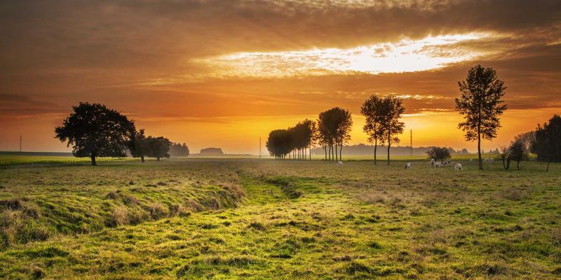 综合信息41：解码行业解决方案如何赋能企业数字化转型