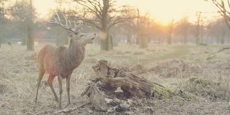 综合信息47：以数据分析驱动的智能服务平台如何重塑行业解决方案