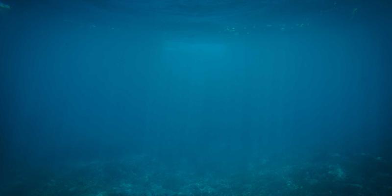 综合信息55：解锁商务信息与商业资讯的融合价值