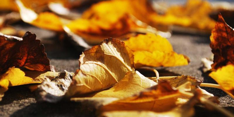 综合信息60：数据分析如何赋能新一代商业资讯服务平台