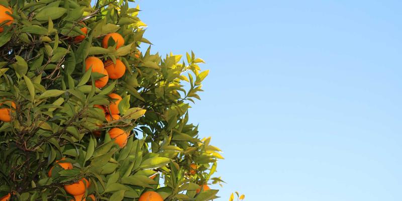 综合信息应用：以数据分析与行业解决方案驱动商业新增长