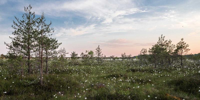 综合信息服务平台：商业资讯与数据分析如何驱动企业智能决策