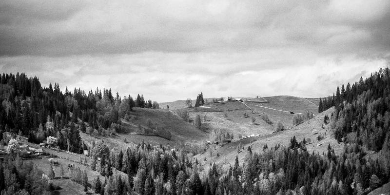 综合信息服务平台:商务决策的智慧引擎与对比分析新范式