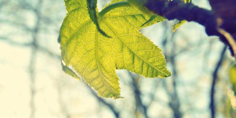 综合信息服务平台:如何通过商业资讯与数据分析驱动企业智能决策