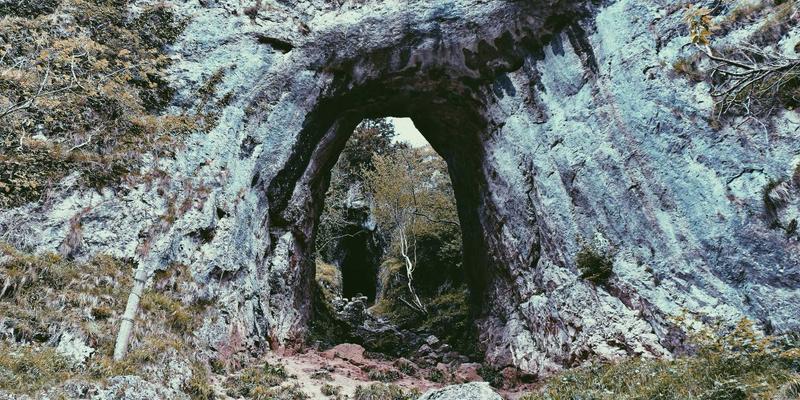 能源互联网中的综合信息管理：优化调度与促进分布式能源消纳的行业解决方案